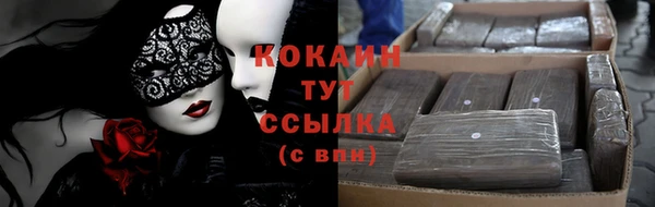 дурь Няндома